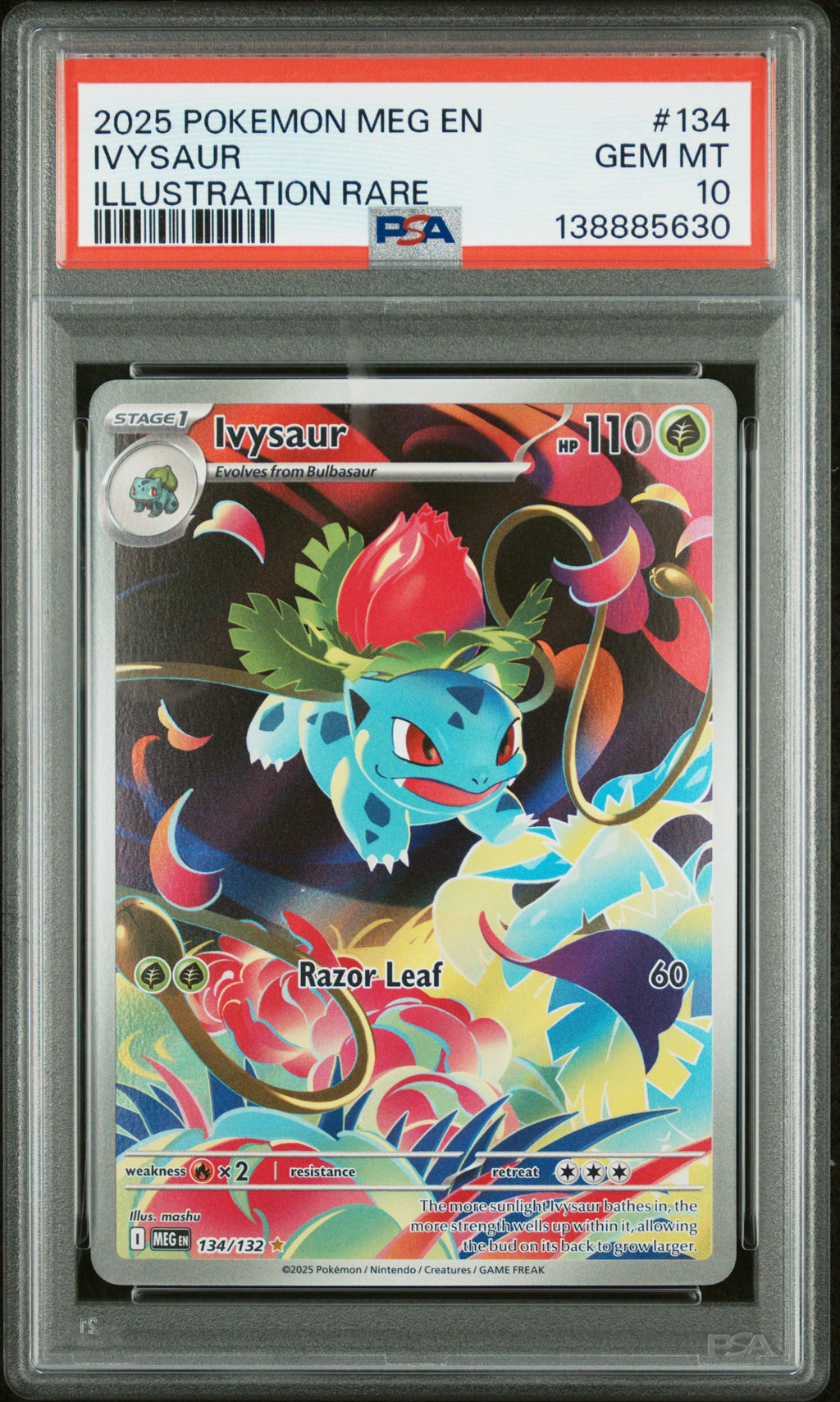 2025 POKEMON MEG EN-MEGA EVOLUTION #134 IVYSAUR ILLUSTRATION RARE