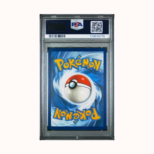 2024 Pokemon SCR En Squirtle Illustration Rare #148 PSA 10